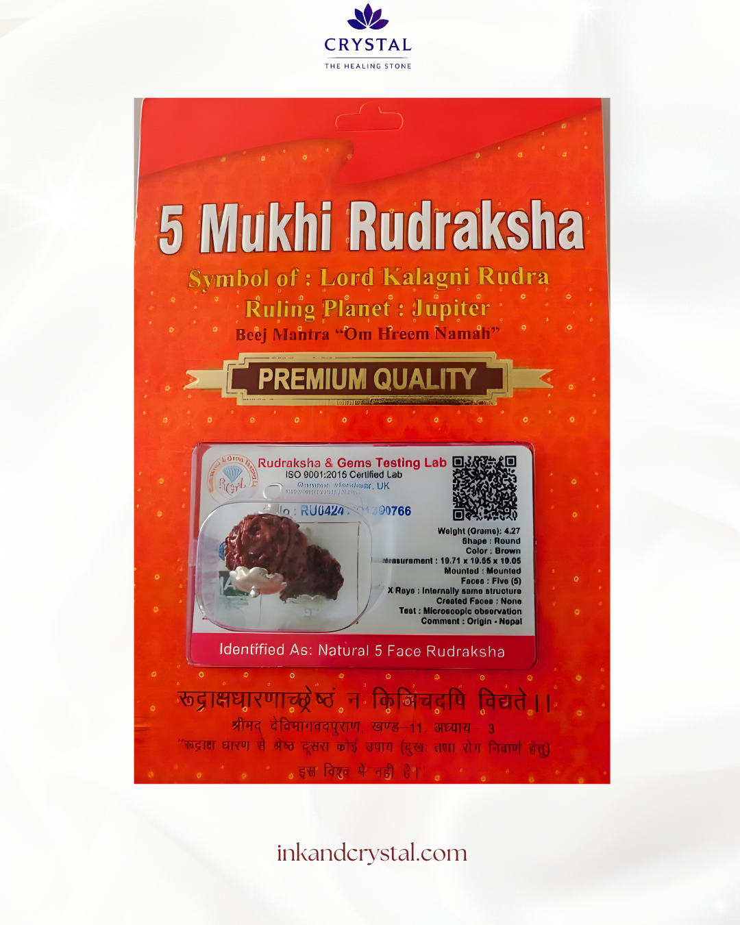 5 Mukhi Rudraksha