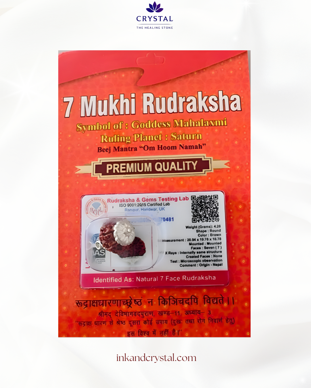 7 Mukhi Rudraksha