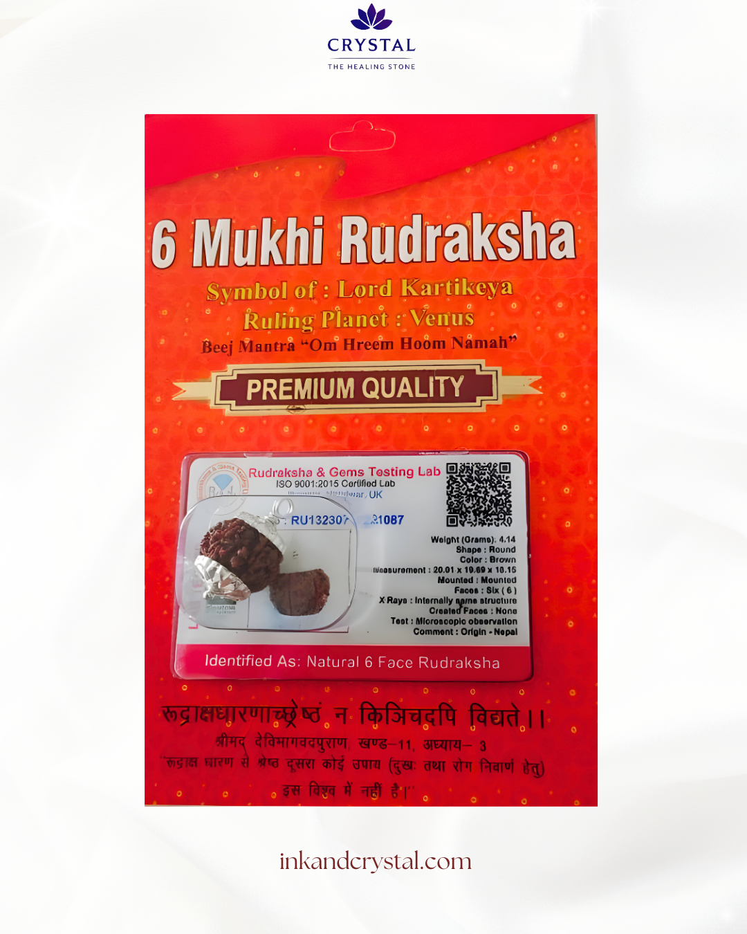 6 Mukhi Rudraksha
